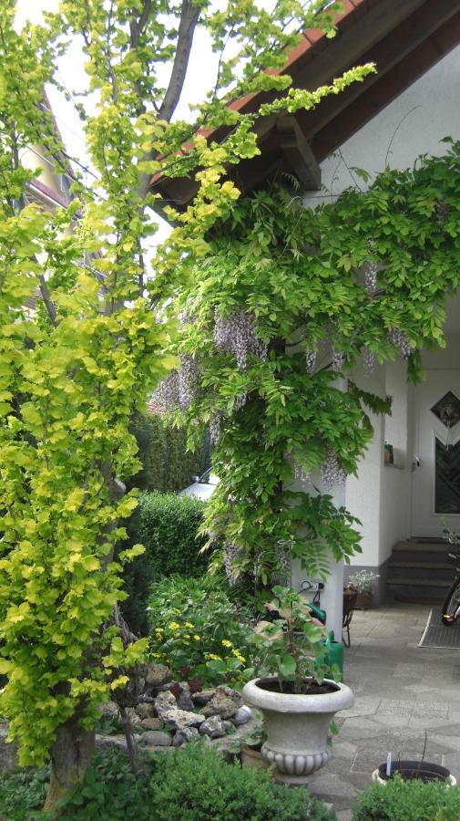 Appartement Am Goldberg Goldbach  ภายนอก รูปภาพ